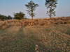 Wali Housing
